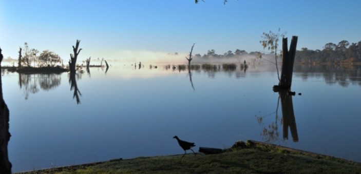 lake nagambie mystical